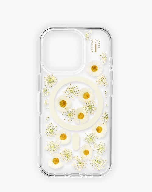 Daisy Bloom