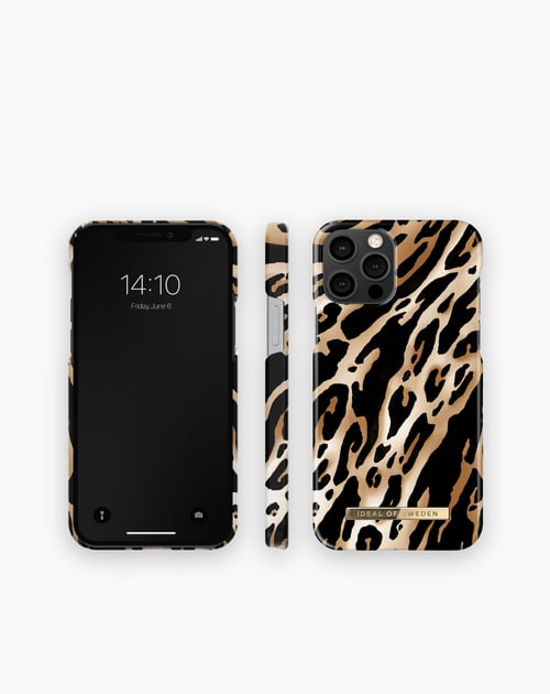 Iconic Leopard