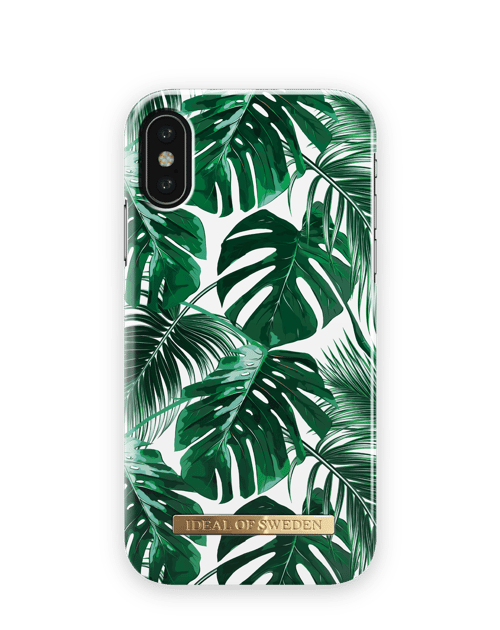 Monstera Jungle