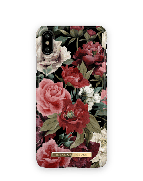 Antique Roses