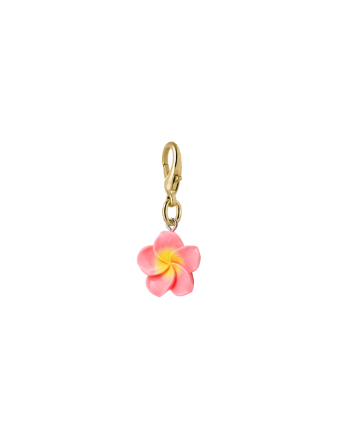 Pink Hibiscus
