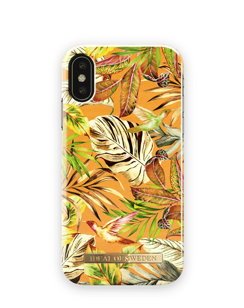 Mango Jungle