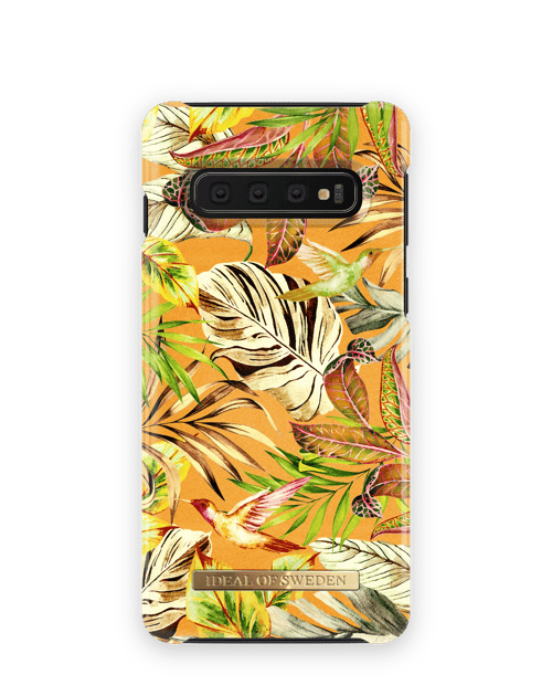 Mango Jungle
