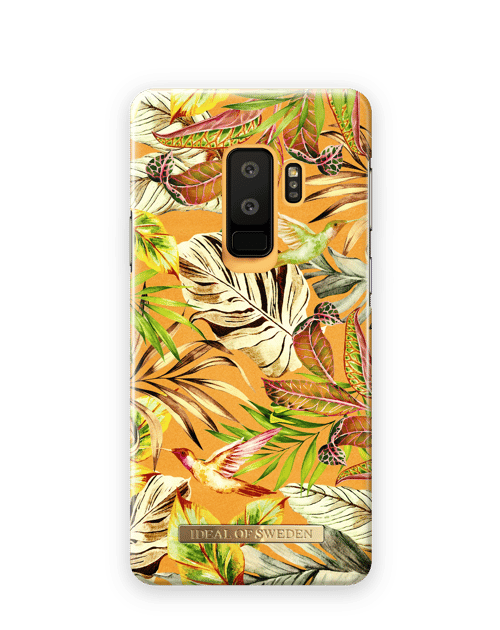 Mango Jungle
