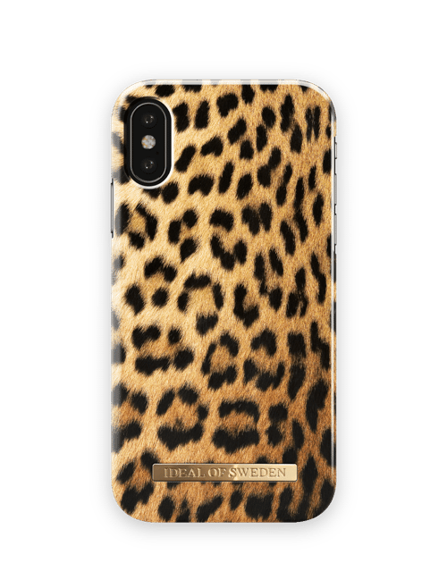 Wild Leopard