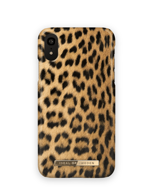 Wild Leopard