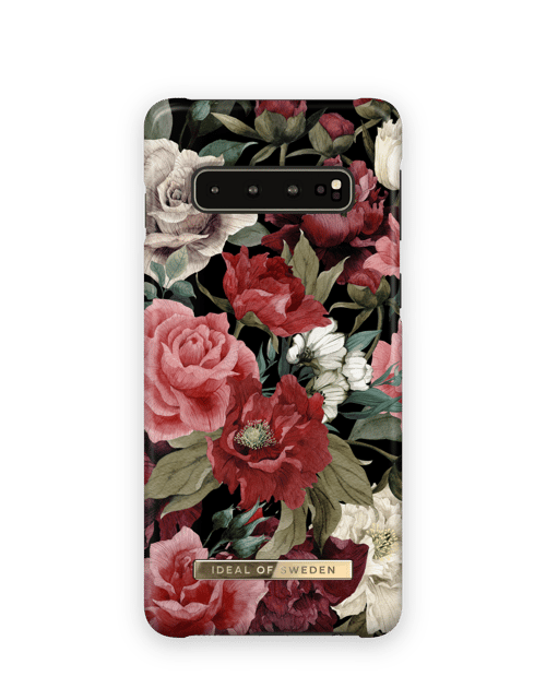 Antique Roses