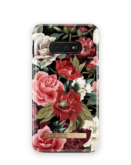 Antique Roses