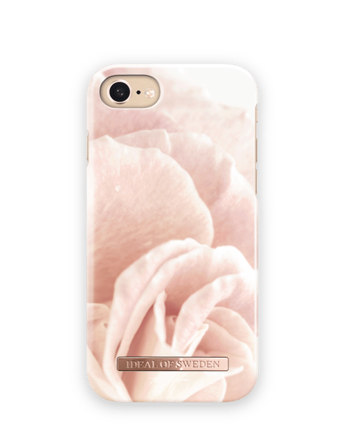 Rosy Rose