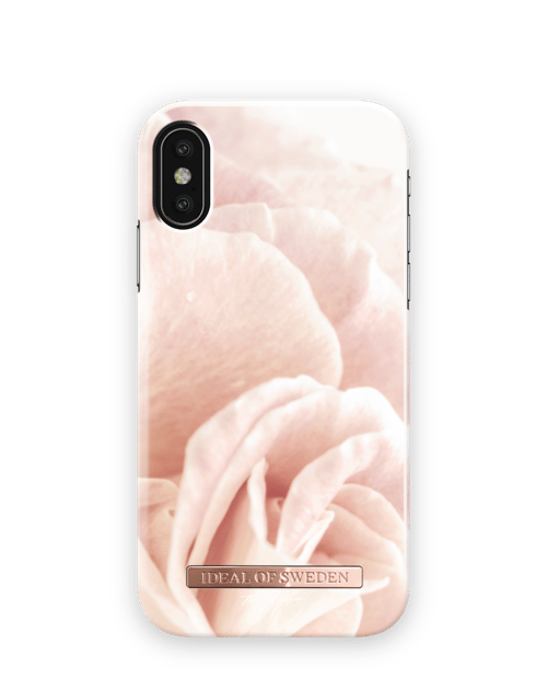 Rosy Rose