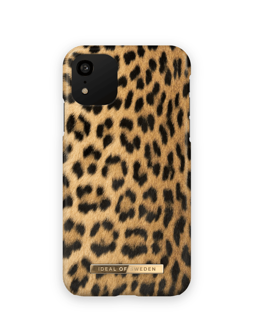 Wild Leopard