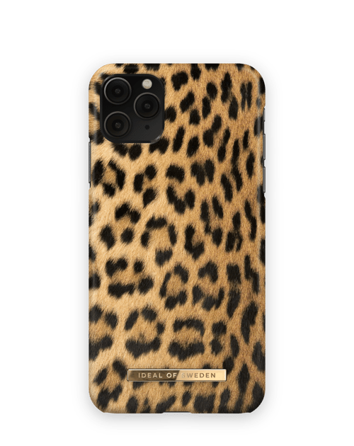 Wild Leopard