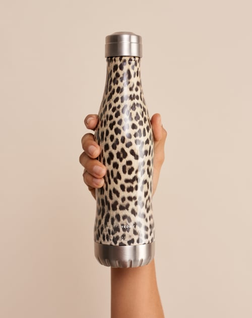 Wild Leopard