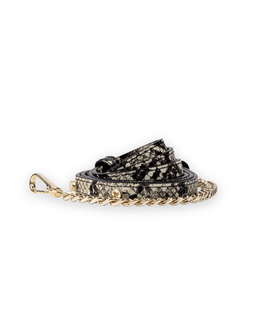 Desert Python