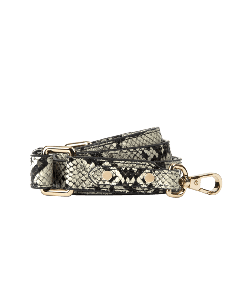 Desert Python