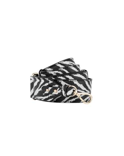 Zebra Eclipse