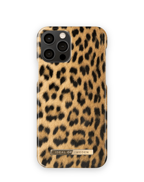 Wild Leopard