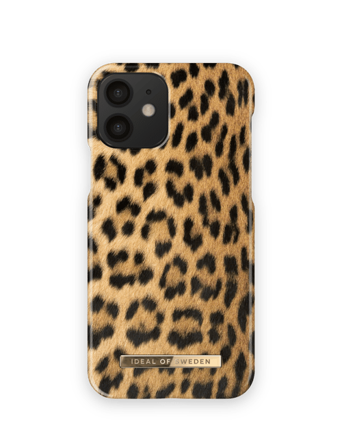 Wild Leopard
