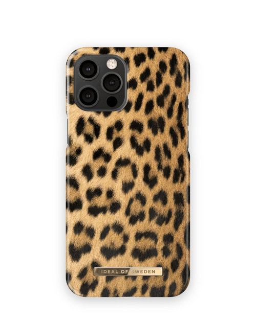 Wild Leopard
