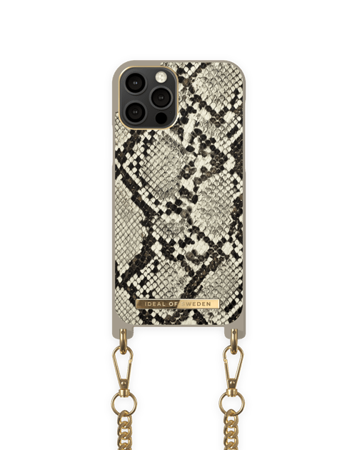 Desert Python