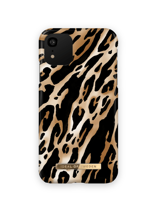 Iconic Leopard