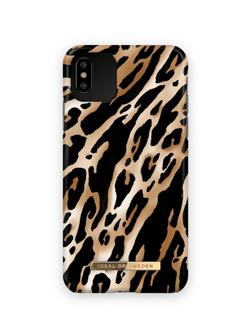 Iconic Leopard