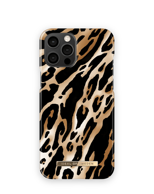 Iconic Leopard
