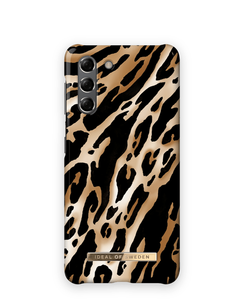 Iconic Leopard