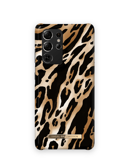 Iconic Leopard