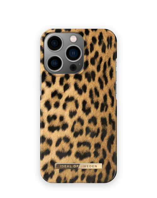 Wild Leopard