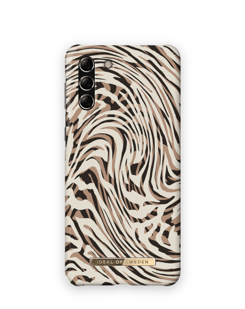 Hypnotic Zebra