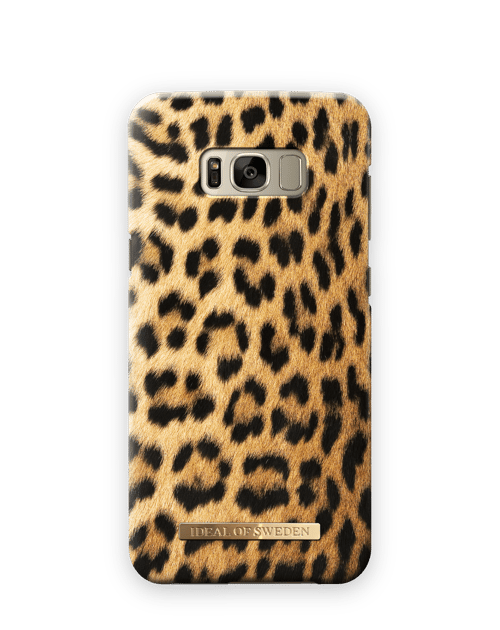 Wild Leopard
